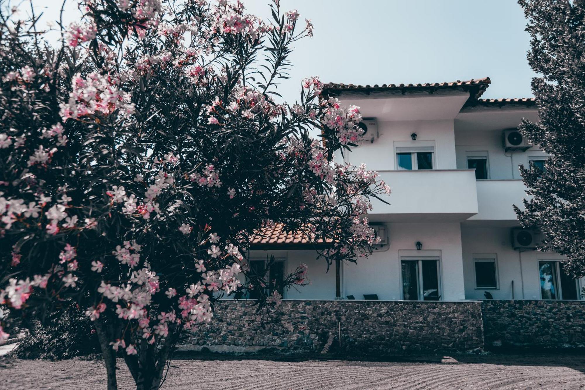 Villa Theano 2 Toroni Bagian luar foto